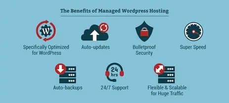 w wordpress